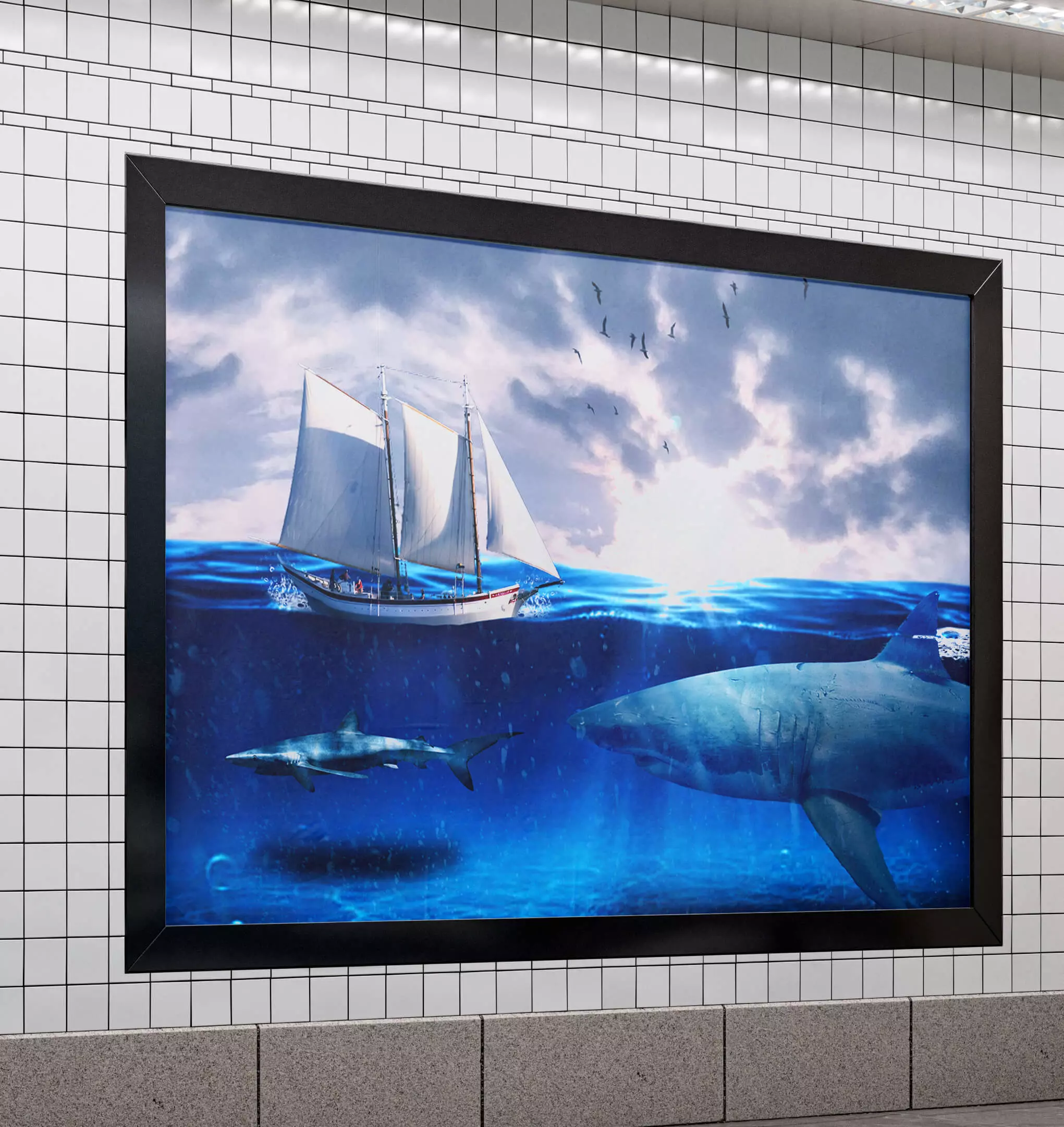 Affiche Requin
